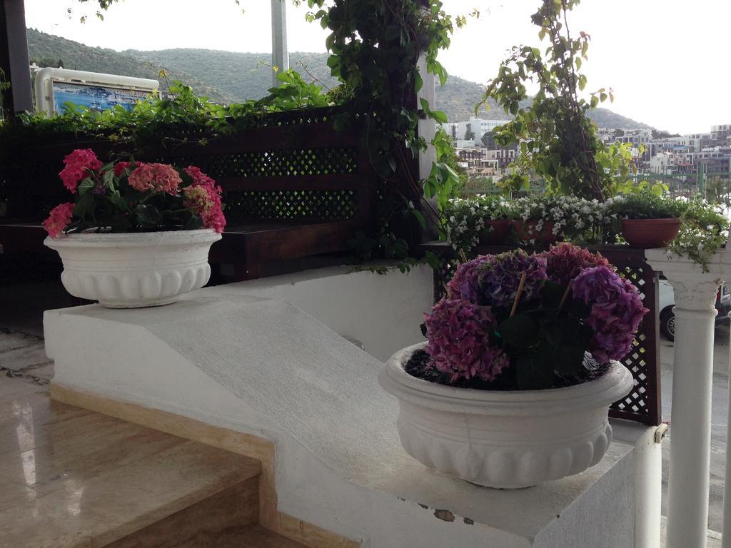 Nocleg ze śniadaniem Pasha Bodrum
